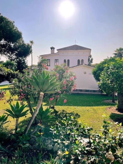 Villa Santa Cristina Cerca Del Mar 马尔韦利亚 外观 照片